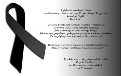 Zdjęcie do In memoriam